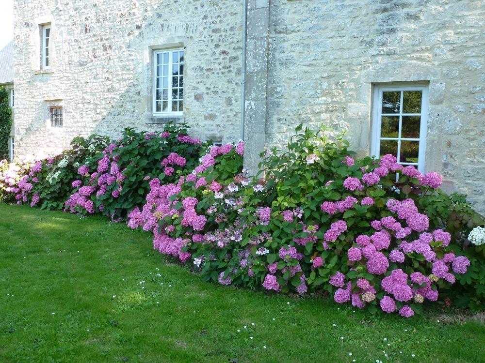 مبيت وإفطار فالوجنيس Manoir De Savigny المظهر الخارجي الصورة